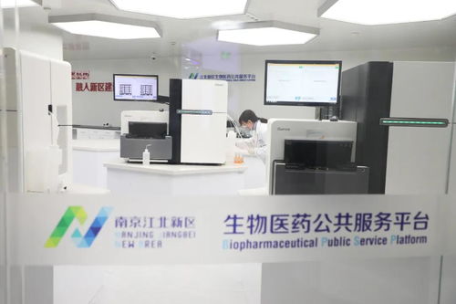 科技創新驅動發展，看江北新區如何以技術服務打造創新高地